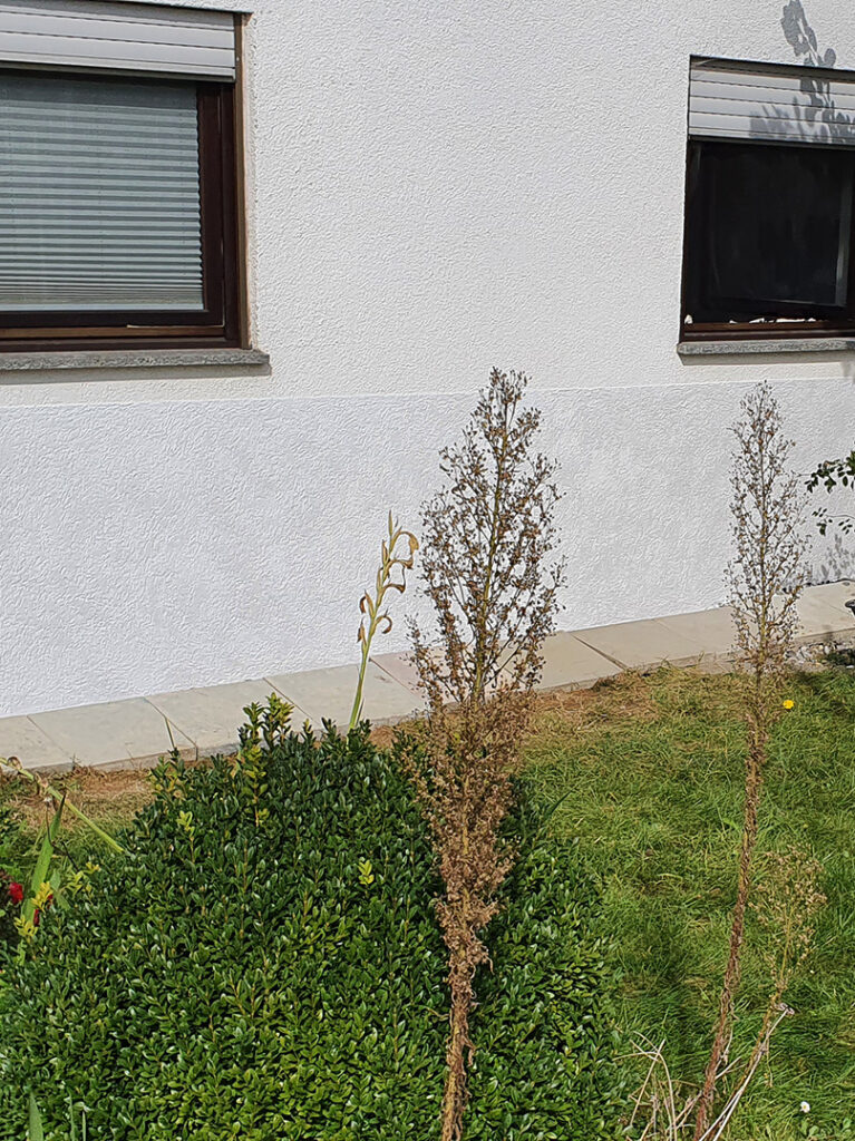 kewabo® deutschland gmbh ingolstadt referenzen